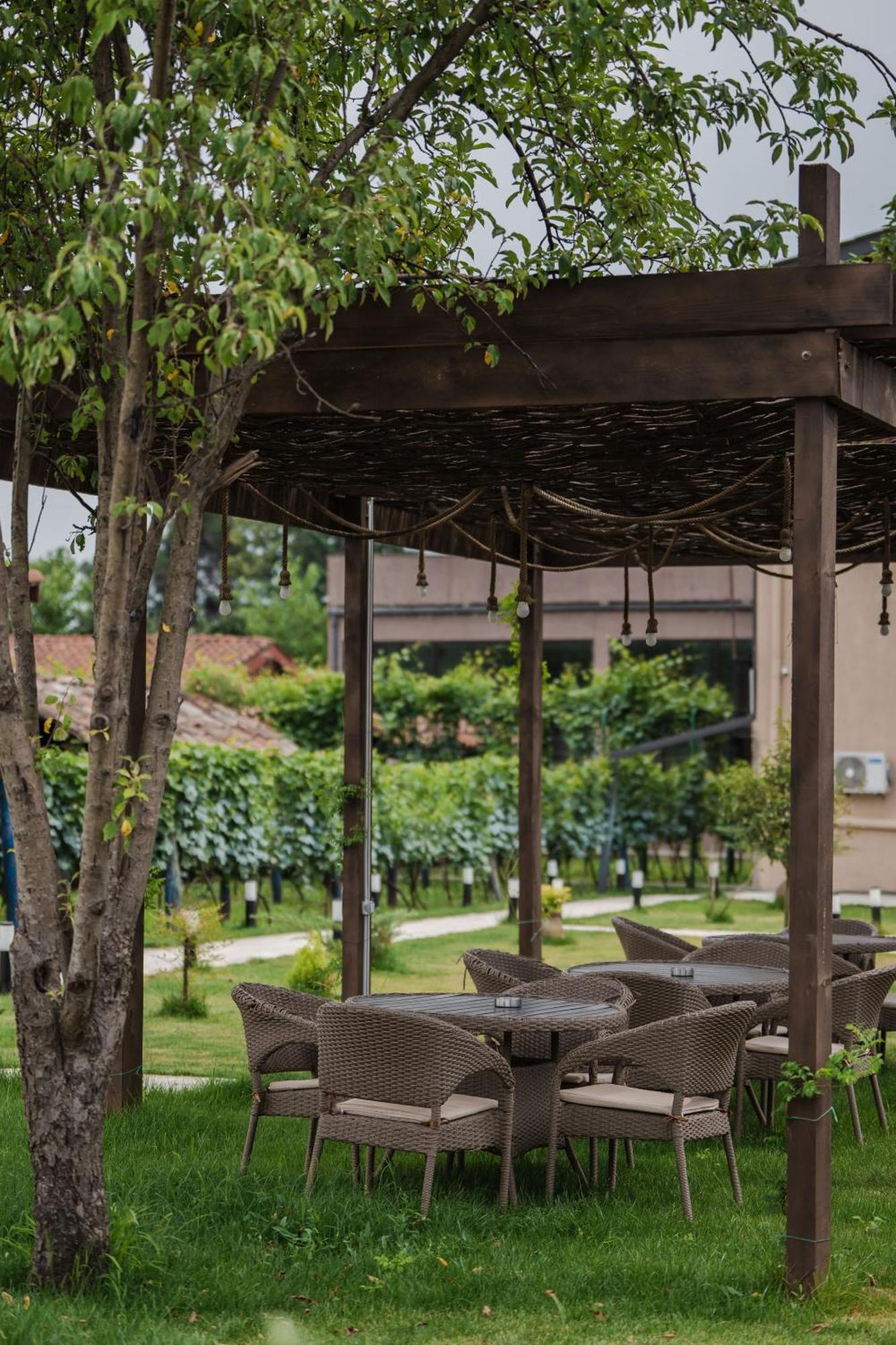 Vineyard Hotel & Winery Napareuli Exteriér fotografie