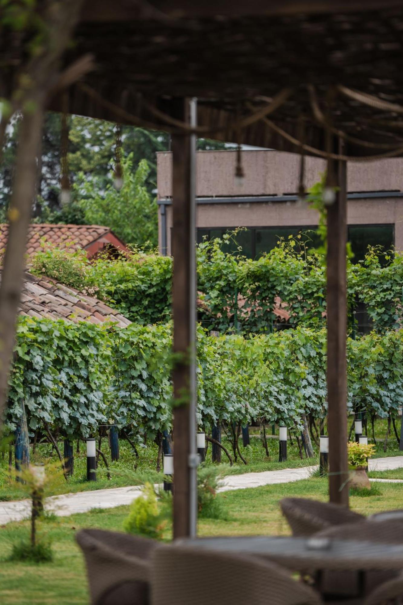 Vineyard Hotel & Winery Napareuli Exteriér fotografie